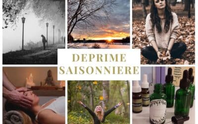 BLUES DE L&rsquo;HIVER