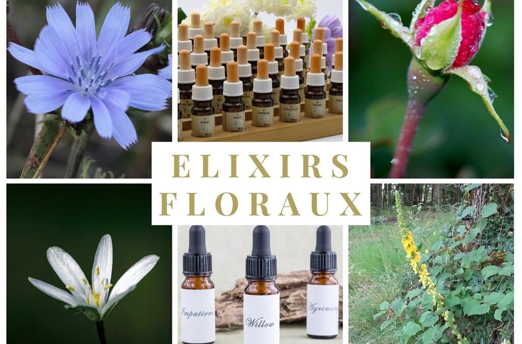 elixirs floraux
