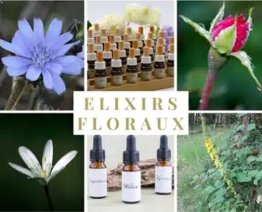 Flacons de fleurs de Bach pour rééquilibrage émotionnel naturel